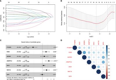 A senescence-based prognostic gene signature for colorectal cancer and identification of the role of SPP1-positive macrophages in tumor senescence